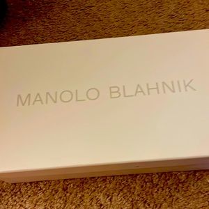 Manolo Blahnik Pumps